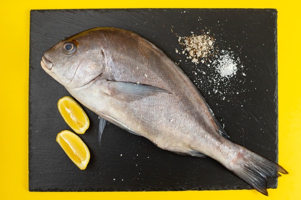 Trança Balığı Nasıl Pişirilir?