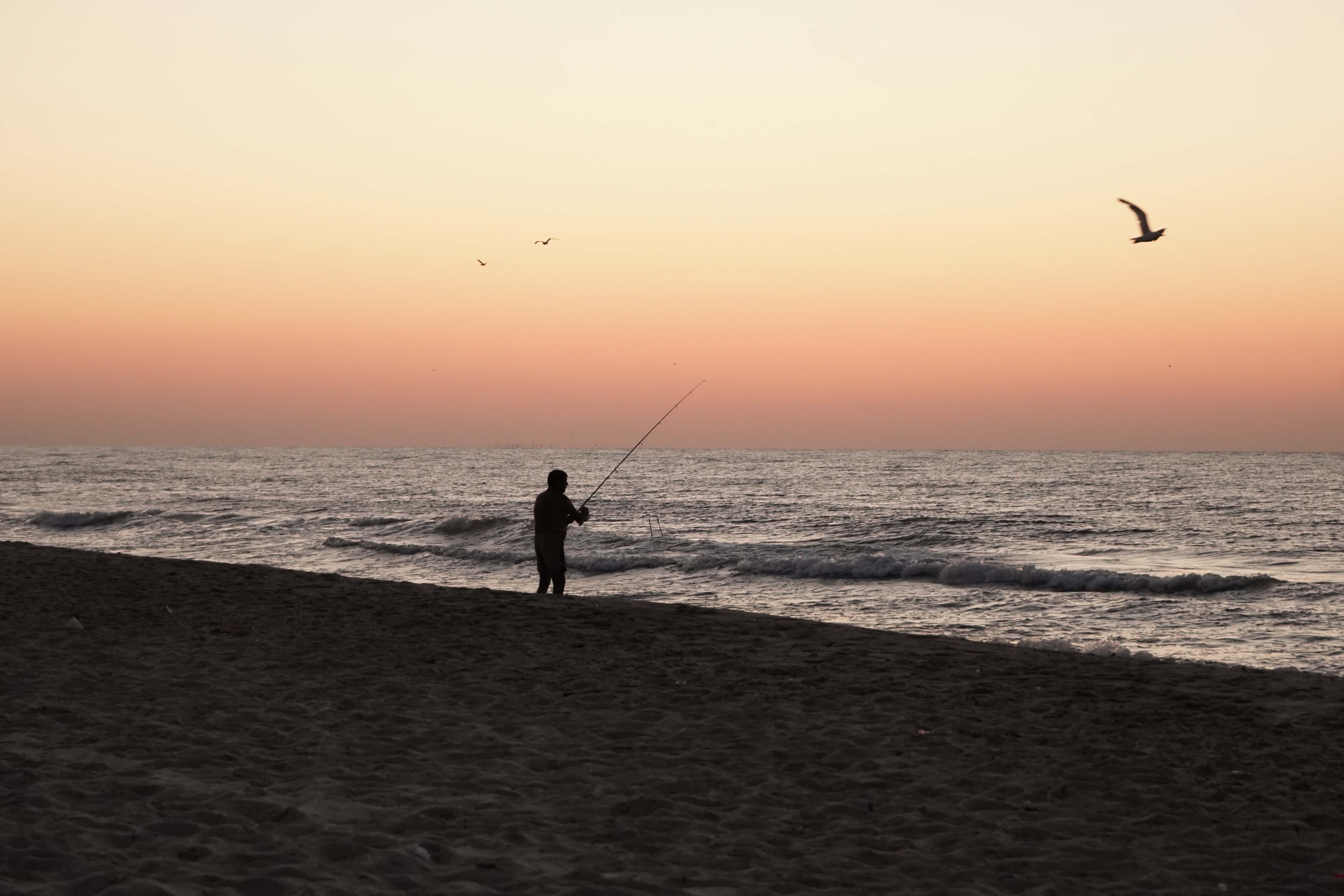 shore jigging